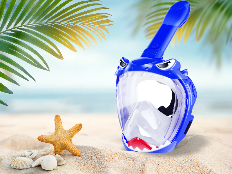 Full Face Adult Snorkel Mask