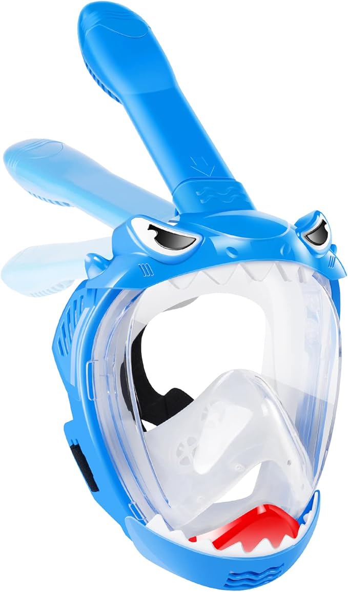 Snorkel Mask Set 